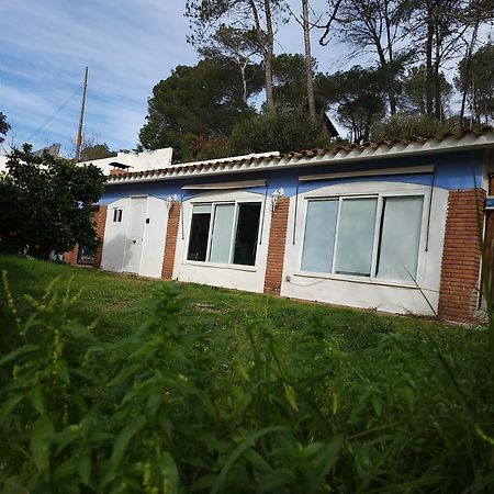 Raconet Azul - Circuito Cataluna Vallromanes Luaran gambar