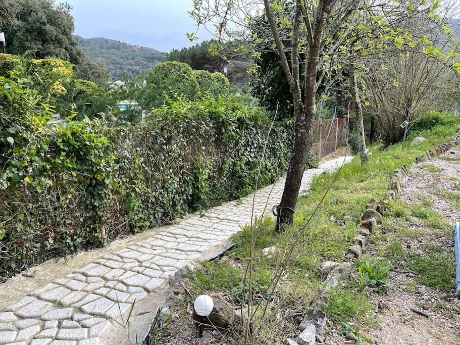 Raconet Azul - Circuito Cataluna Vallromanes Luaran gambar
