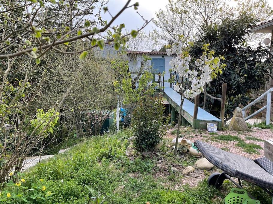 Raconet Azul - Circuito Cataluna Vallromanes Luaran gambar